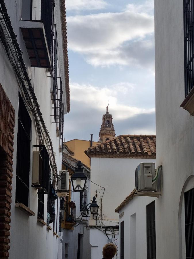 Apartamento En El Patio De La Juderia 코르도바 외부 사진